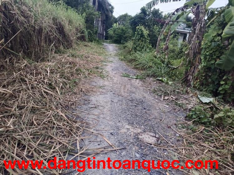 CẦN BÁN 237M2 ĐẤT VƯỜN LÊN ĐC THỔ CƯ HẺM XE HƠI