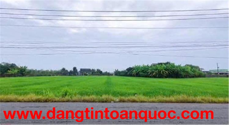 ĐẤT CHÍNH CHỦ - 2 LÔ MẶT TIỀN Đường DT827B Xã Phước Tân Hưng, Châu Thành, Long An