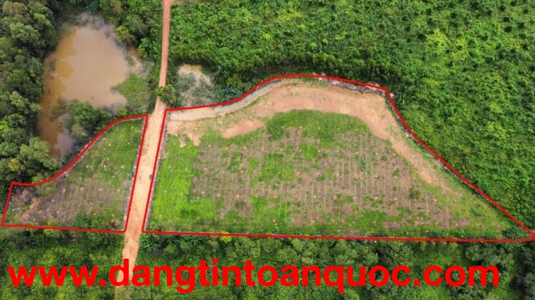 Đất Vườn Nghỉ Dưỡng View Hồ Trị An Xã Thanh Sơn Định Quán Đồng Nai