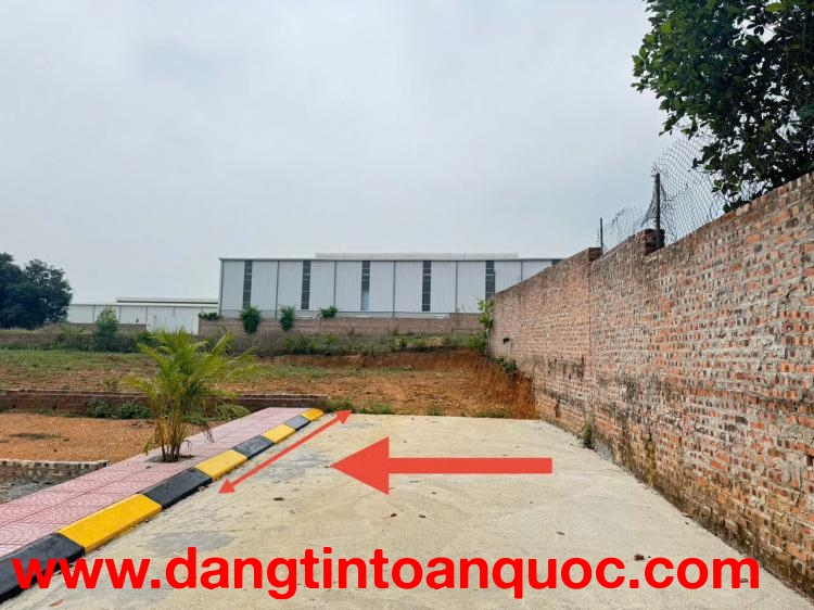 Thanh khoản gấp 100m đất Thái Lai, Minh Trí, Sóc Sơn. Đường nhựa, vỉa hè, vuông như bìa đậu