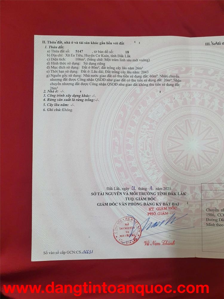 ĐẤT ĐẸP – GIÁ TỐT  – CHÍNH CHỦ CẦN BÁN Tại Đường Bê Tông, Xã Ea Tiêu, Cư Kuin, Đắk Lắk