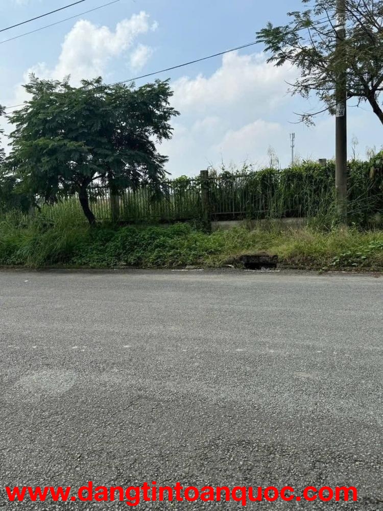 Bán đất 70x117m giá 39 tỷ Cum Công Nghiệp Nhị Xuân