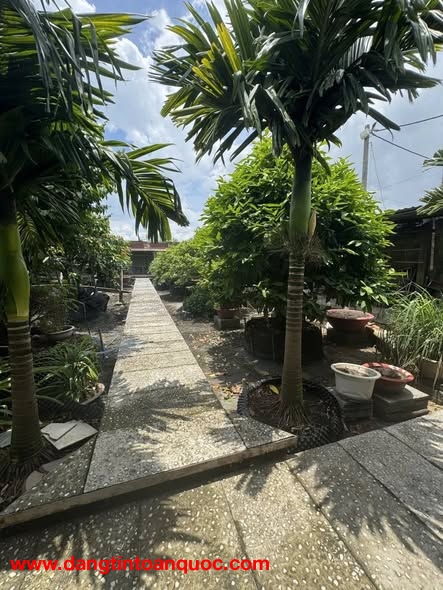 Bán nhà mặt tiền 36x28m giá 25 tỷ Đường 7m Phạm Văn Sáng