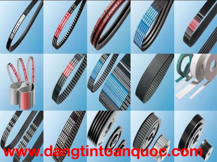            Cung cấp các loại dây Curoa, dây đai băng tải Megadyne, Gates, Mitsuboshi