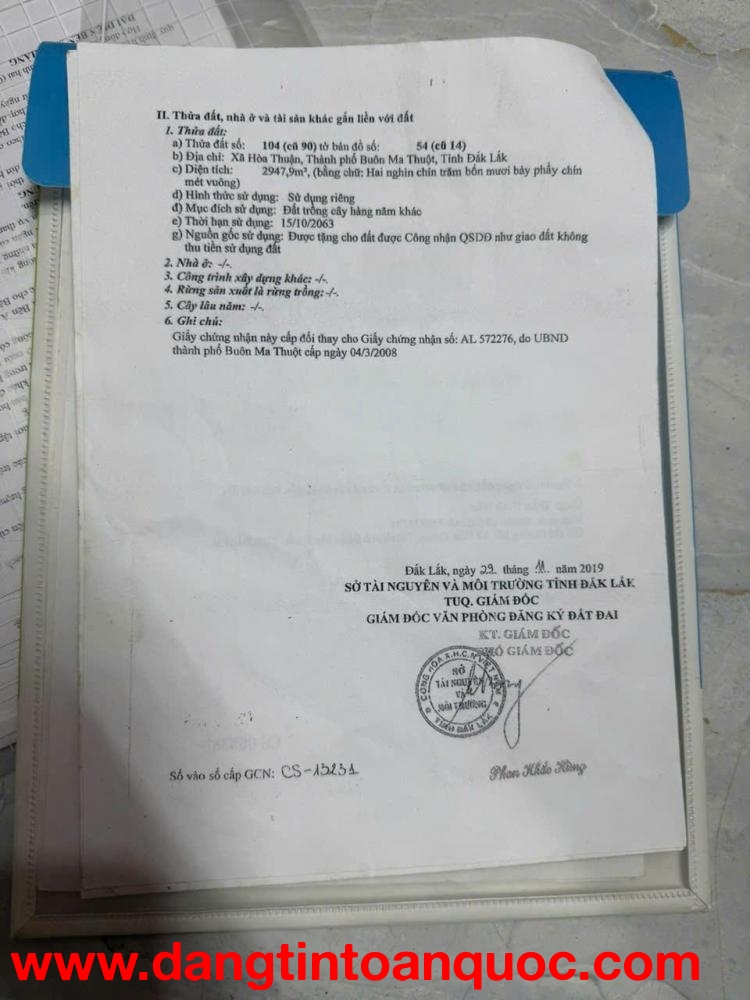 CHỦ NGỢP - Giảm giá bán nhanh trước tết nhà vườn -  Buôn Ma Thuột tỉnh Đắk Lắk