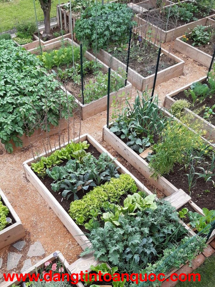 GIẢM SỐC 2 TỶ - BIỆT THỰ SAVIMEX, QUẬN 7 - MẶT TIỀN