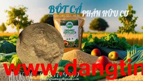 Bột Cá – Nguyên Liệu Đa Năng Cho Sản Xuất Phân Bón, Thuốc Diệt Ốc Bươu Vàng, Thuốc Diệt Chuột