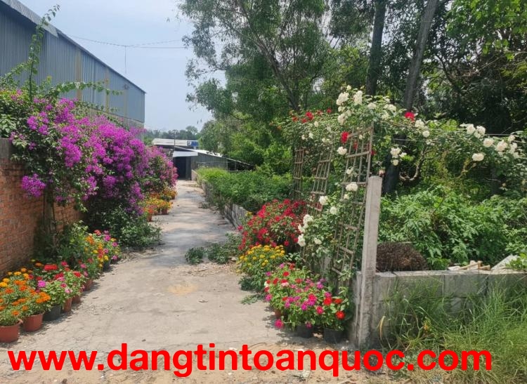 Đất Phú Quốc giảm 30% so với khu vực - Chính chủ cần bán gấp