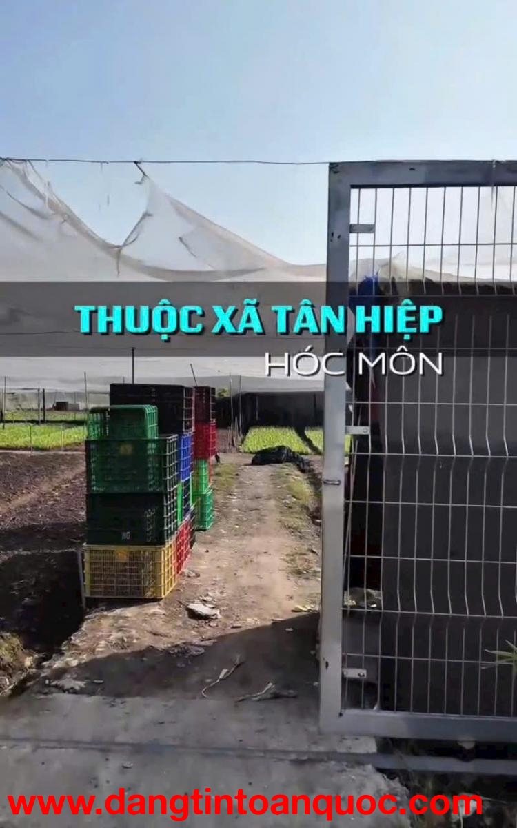 CCG ĐẤT TÂN HIỆP HÓC MÔN – SÁT CẠNH KHU BIỆT THỰ – GIÁ CHỈ 10TR/M²