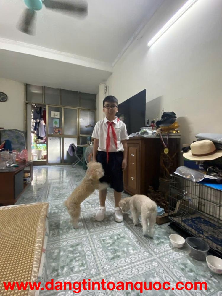 CHO THUÊ PHÒNG 30m² – HÀNG THAN, HOÀN KIẾM (CHO THUÊ LÂU DÀI)