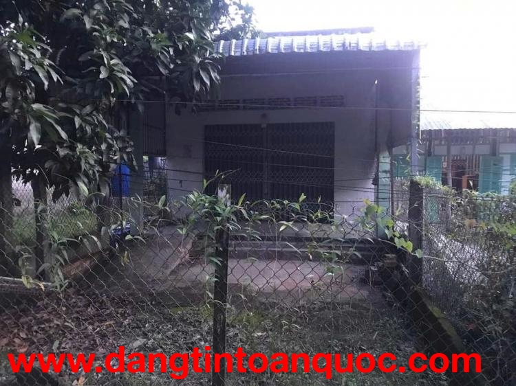 Chính Chủ Cần Bán Nhà Đất Tại ấp Hoà Long B, thị trấn Kinh Cùng, Huyện Phụng Hiệp, Hậu Giang