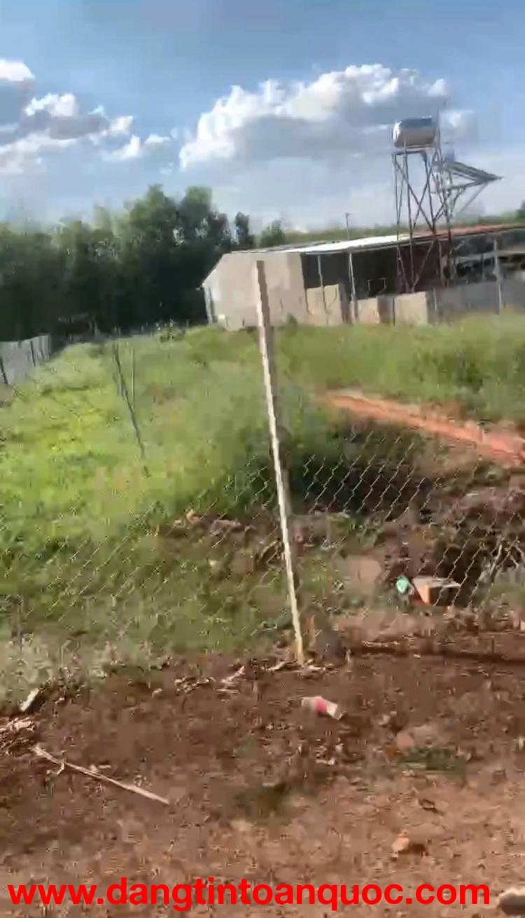 BÁN ĐẤT SÀO – TÀU Ô, HỚN QUẢN, BÌNH PHƯỚC  GIÁ ĐẦU TƯ CỰC RẺ CHỈ 550TR