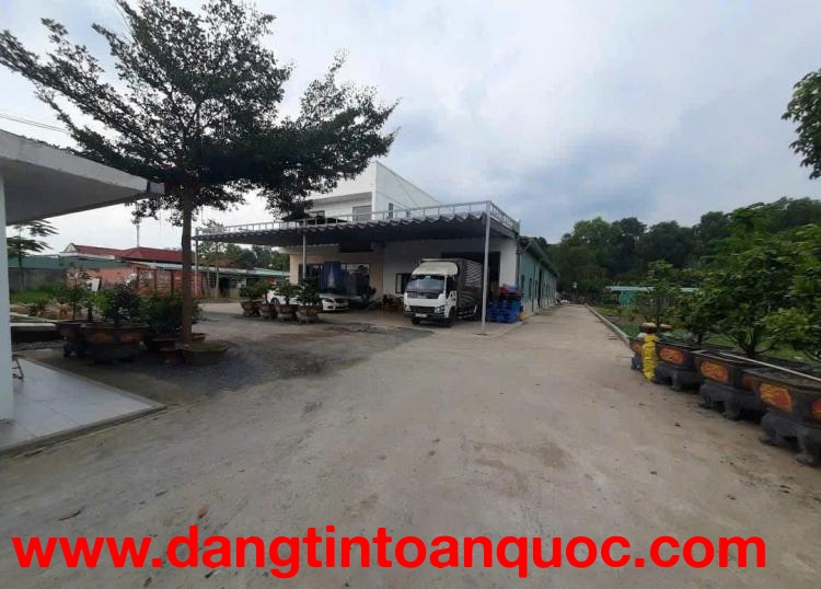 BÁN LÔ ĐẤT 4.638M MẶT TIỀN ĐƯỜNG THANH NIÊN – TẶNG XƯỞNG