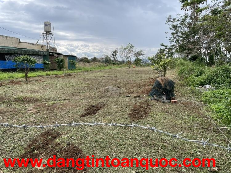 ĐẤT ĐẸP – GIÁ TỐT  – CHÍNH CHỦ CẦN BÁN Tại Xã Nghĩa Hiệp, Huyện Đức Trọng, Lâm Đồng