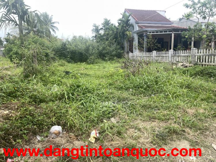 Bán đất kiệt Nguyễn Tri Phương 519,3m2 full thổ cư, cách 10m ra đường chính, giá 6.9 tỷ