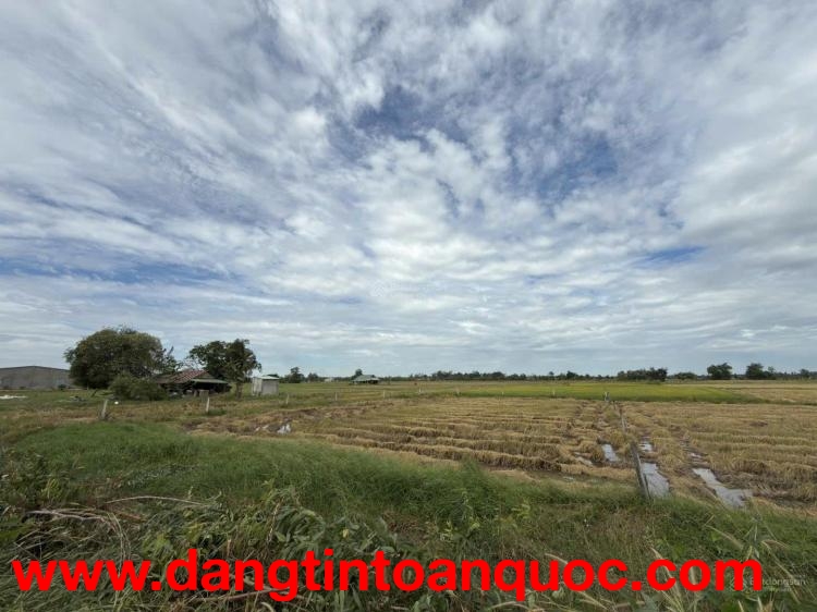 ĐẤT ĐẸP - GIÁ TỐT - Bán Nhanh Tại ấp Phước Đông xã Long Chữ tỉnh Tây Ninh (trước là xã Long Phước hu