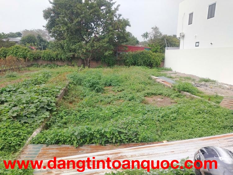 Gia đình cần bán 156m2 (80m2 thổ cư) lô đất vuông vắn nở hậu, mặt tiền 6m, nở hậu 6.4m