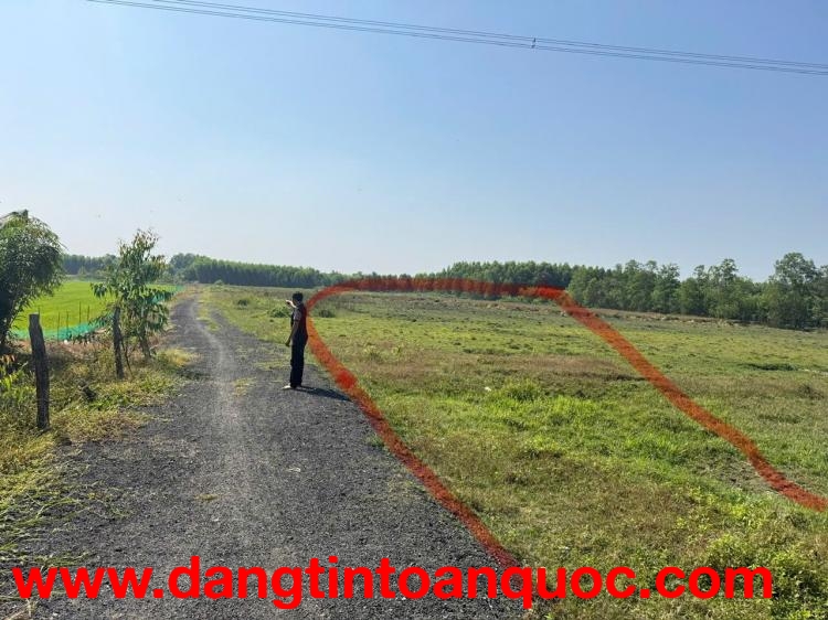 BÁN ĐẤT PHƯỚC AN – GẦN VÀNH ĐAI 3 – GIÁ TỐT ĐẦU TƯ