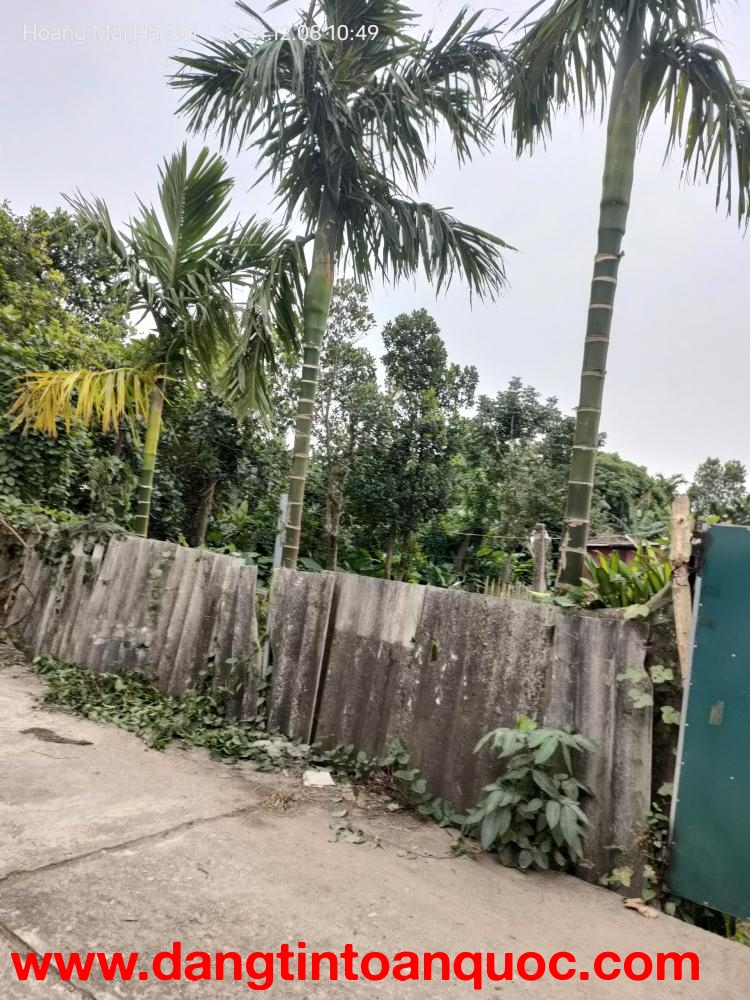 Bán gấp giá rẻ nhà, đất Chương Dương 767m, cấp 4, mặt tiền 14m, 2 tỷ Thường Tín.