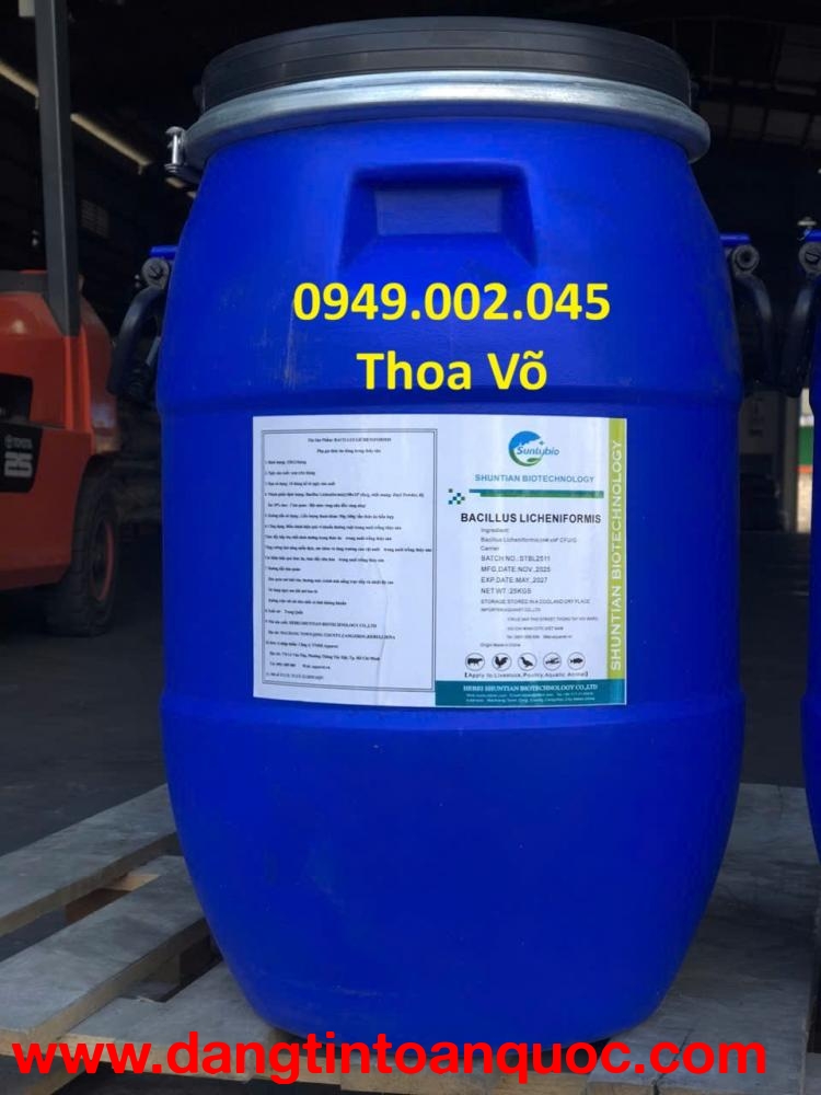 BACILLUS LICHENIFORMIS – Chuyên Xử Lý Cặn Dầu Mỡ, Khí Độc Cho Ao Nuôi