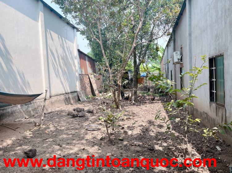 Chính chủ bán gấp đất giá tốt tại Chánh Phú Hoà, Bến Cát.