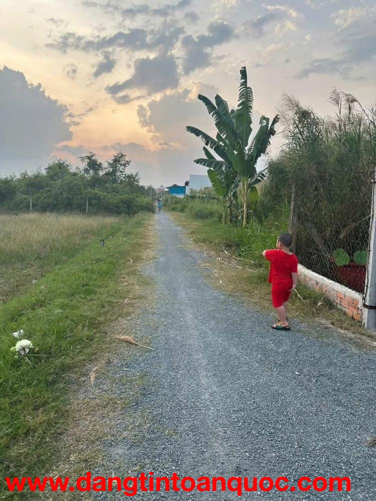 CHÍNH CHỦ BÁN 2 nền đất liền kề hẻm đường d5, khóm 4, phường 5, tp Trà Vinh, Trà Vinh