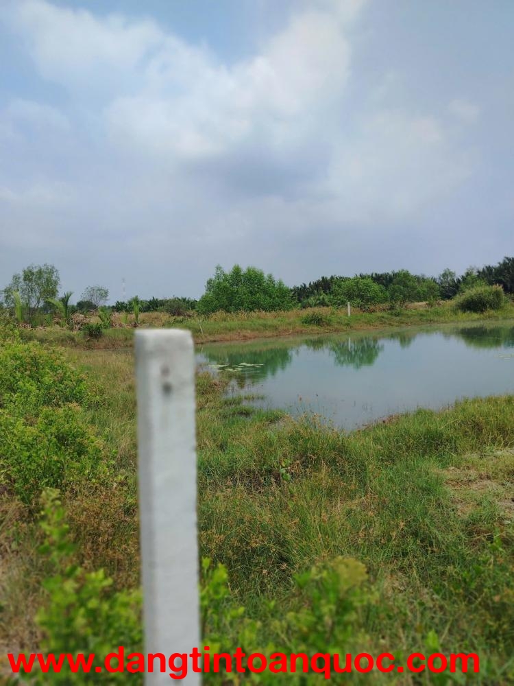 CHÍNH CHỦ CẦN BÁN GẤP ĐẤT TẠI XÃ BÌNH KHÁCH, CẦN GIỜ, TP. HỒ CHÍ MINH