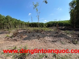 ĐẤT TRANG TRẠI VIEW ĐẸP – HÒA NHƠN, HÒA VANG, ĐÀ NẴNG