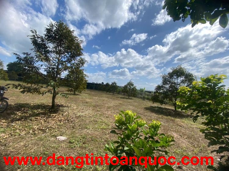 CHÍNH CHỦ BÁN SIÊU PHẨM *** BÁN NHANH ĐẤT 2 MẶT TIỀN ĐẸP Phù Hợp Cho Mọi Gia Đình