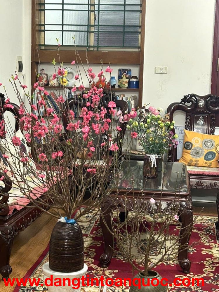 Căn góc hiếm tại CT7A – KĐT Văn Quán