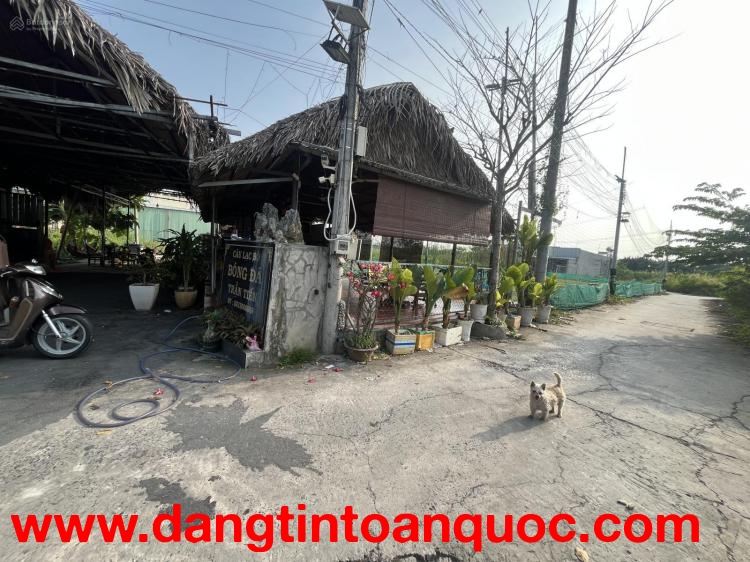 Cần bán gấp lô đất tổng 1000m² tách 4 lô thổ cư Long Hậu Cần Giuộc.