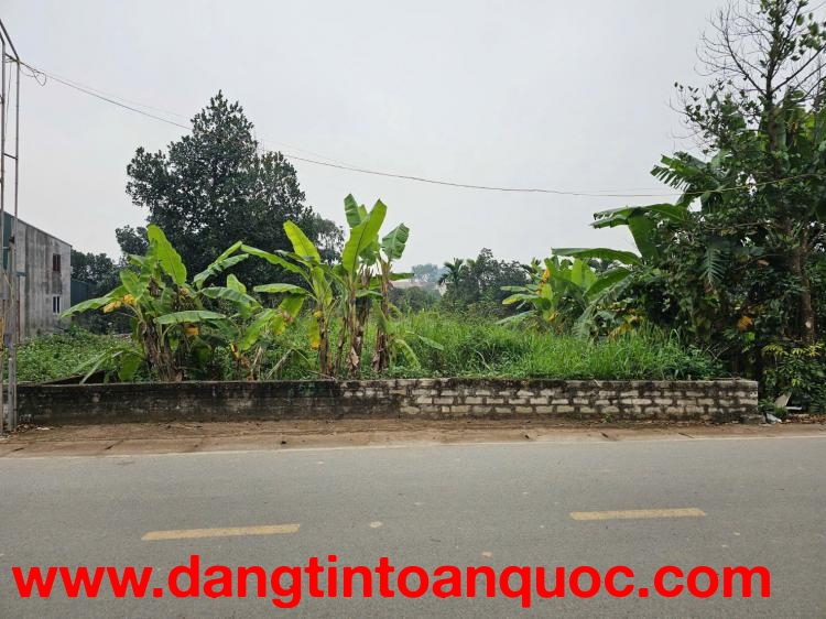 BÁN ĐẤT THỔ CƯ SẴN SỔ FULL TIỆN ÍCH DUY NHẤT TẠI LỤC QUÂN-CỔ ĐÔNG-SƠN TÂY