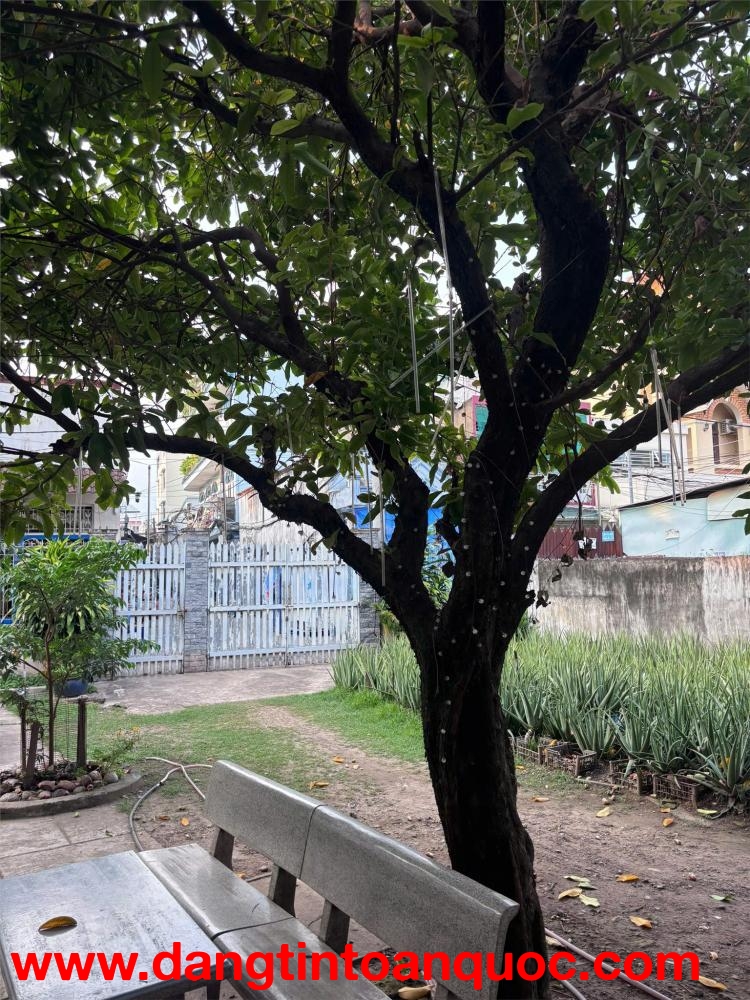 HOT HOT - Đất chính Chính Chủ Mặt tiền đường Nguyễn Ảnh Thủ, Quận 12, HCM