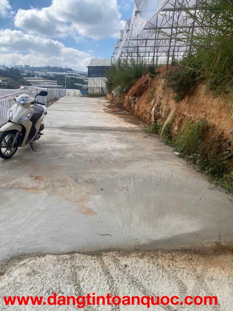 BÁN ĐẤT ĐÀ LẠT – PHƯỜNG 7 – ĐƯỜNG LANBIAN