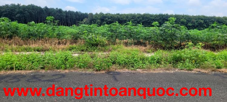 Bán đất Xã Nha Bích mới 600tr/nền bao sổ (Có lẻ hoặc cặp liền kề).