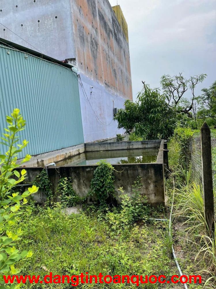 ĐẤT ĐẸP – GIÁ TỐT  – CHÍNH CHỦ CẦN BÁN 3 LÔ ĐẤT VỊ TRÍ ĐẸP TẠI Tiền Giang