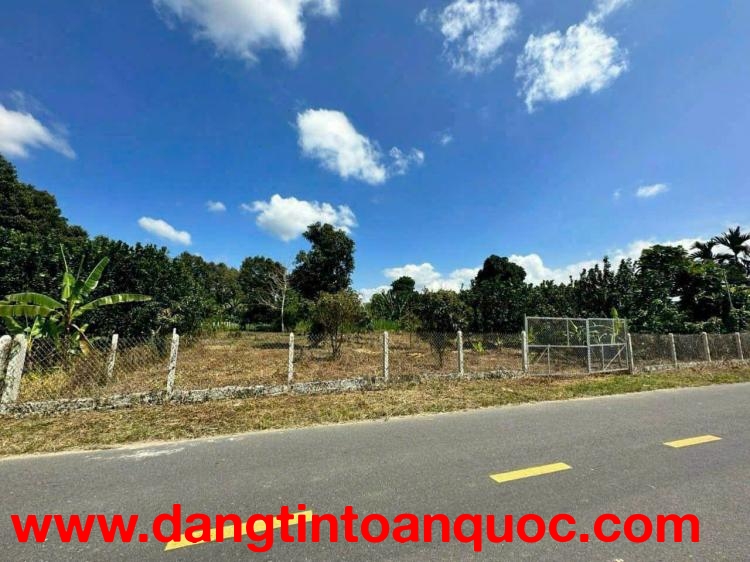 Đất mặt tiền Tỉnh Lộ 2, Xã Diên Thọ, Huyện Diên Khánh, Khánh Hòa - Đất có sẵn vườn cây trái