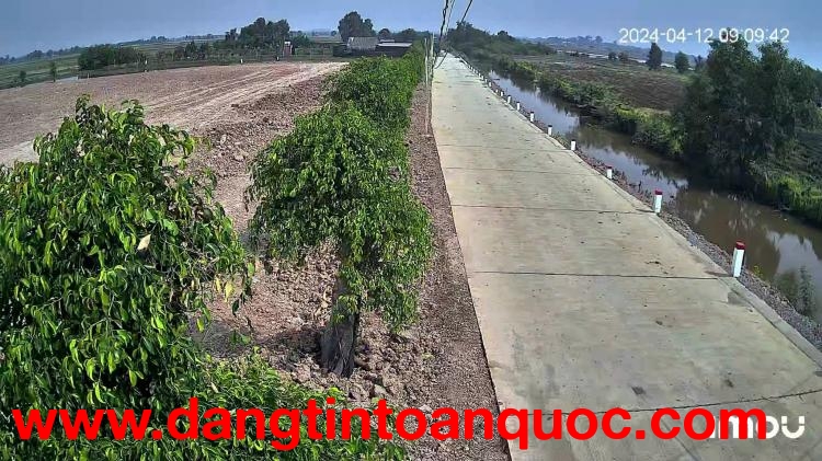 QUỸ ĐẤT 6.500m² – THỔ CƯ – GIÁ CHỈ 8TR/M² BẦU TRÂM NGAY NGÃ TƯ TÂN QUY
