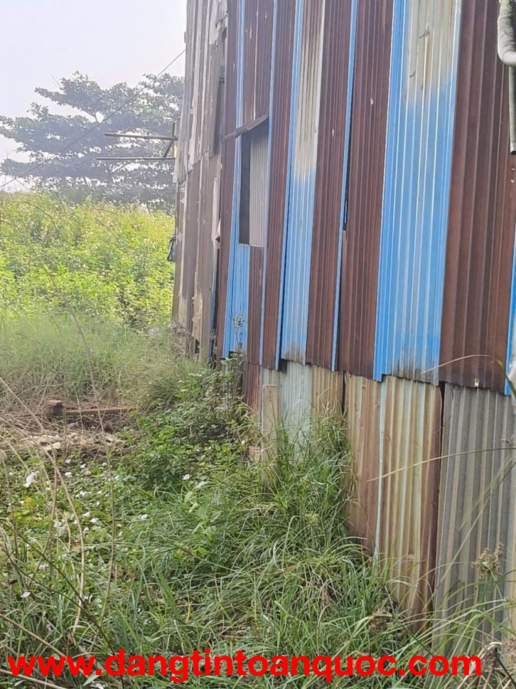 THUÊ ĐẤT VƯỜN – DIỆN TÍCH LỚN 3.200m² – CÓ THỂ DỰNG NHÀ – VỊ TRÍ THUẬN TIỆN TẠI BÌNH TÂN