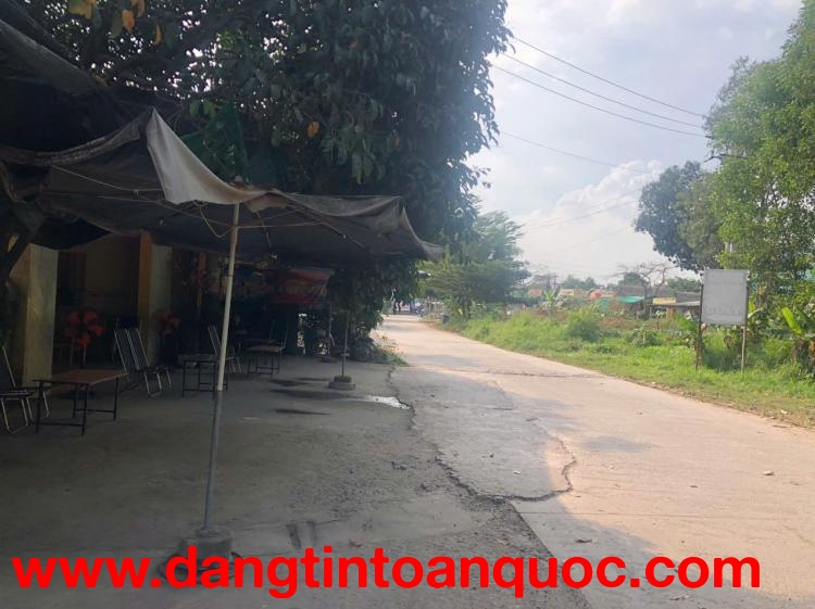 NHÀ VƯỜN ĐẸP – CHÍNH CHỦ CẦN BÁN Nhà Vườn Mặt Tiền Đường Nam Cao, P. Tân Mai, Biên Hòa, Đồng Nai