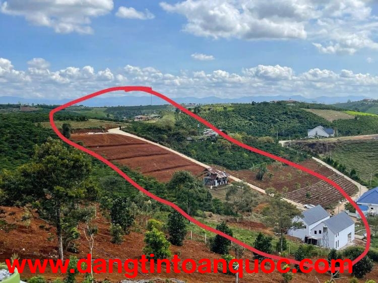 ĐẤT HẺM LÝ THÁI TỔ – BẢO LỘC , LÂM ĐỒNG 4.550m² ,OTO TỚI ĐẤT ,GIÁ THU HỒI VỐN