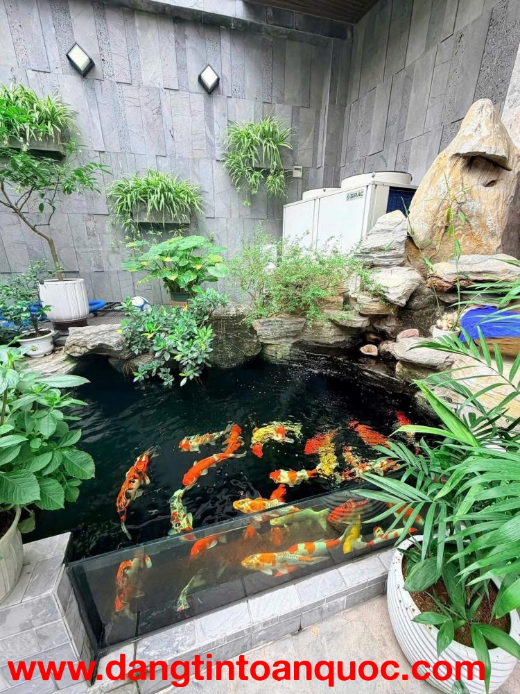 22,9 TỶ  BIỆT THỰ THANG MÁY – BỂ BƠI  273M² (SD ~320M²)  AN TRỰC – HỒNG BÀNG