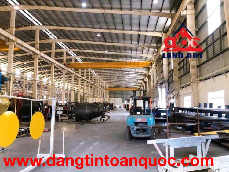 XT055 CHO THUÊ NHÀ XƯỞNG, khung thép kiên cố thu hút nhiều ngành nghề, sẵn xưởng