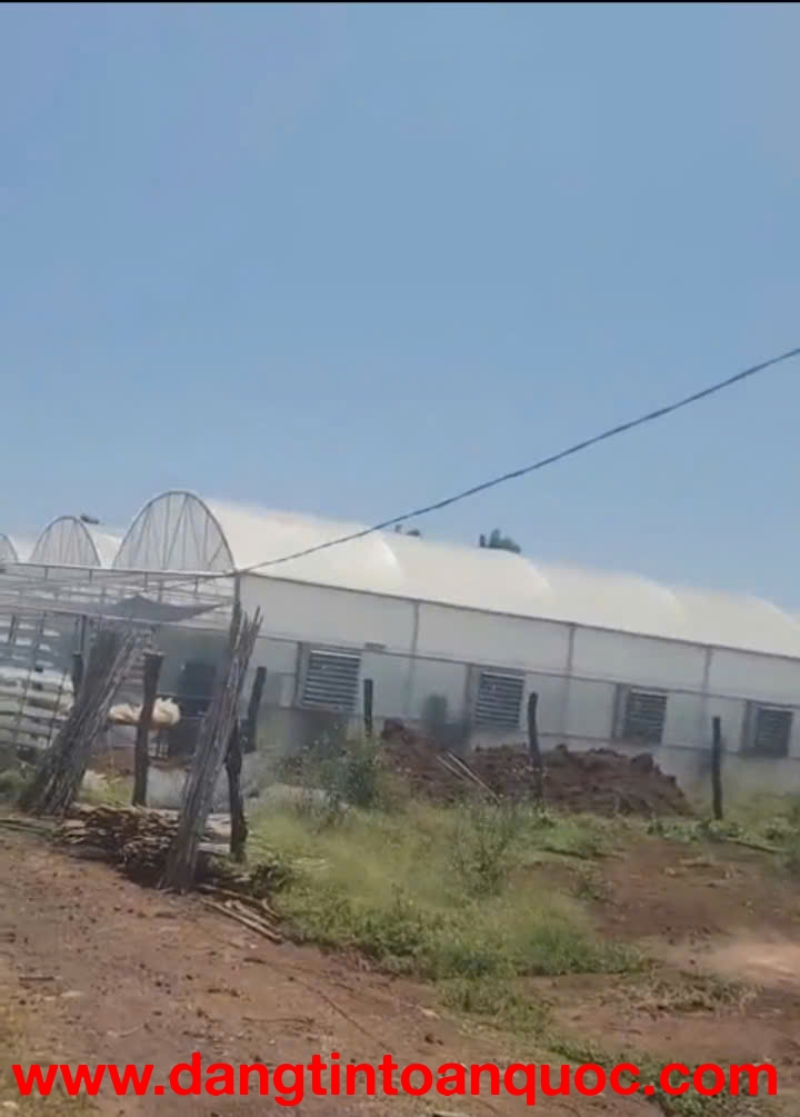 Bán nhà vườn 1000m2  Đức Trọng – Lâm Đồng - giá 3 tỷ 250 triệu