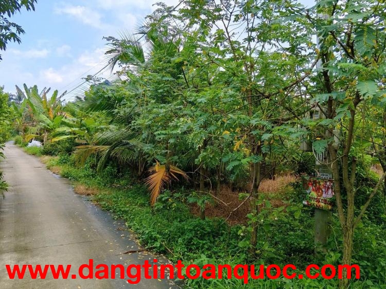 CHÍNH CHỦ CẦN BÁN ĐẤT CÓ VỊ TRÍ ĐEP -tại KCN LONG GIANG  - XÃ TÂN LÝ ĐÔNG - H.CHÂU THÀNH - TIỀN GIAN