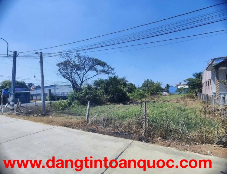 BÁN ĐẤT NÔNG NGHIỆP – ĐƯỜNG BỜ CHÙA, XÃ PHƯỚC LÝ, HUYỆN CẦN GIUỘC, LONG AN