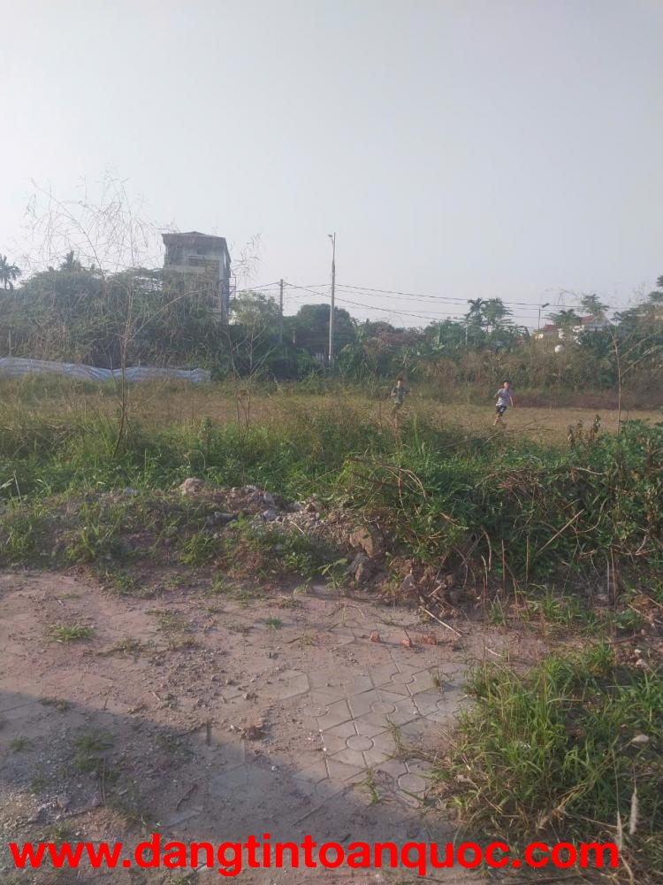 BÁN ĐẤT SẢN XUẤT KINH DOANH - DIỆN TÍCH HƠN 30.000M2 TẠI PHÚ XUYÊN, HÀ NỘI