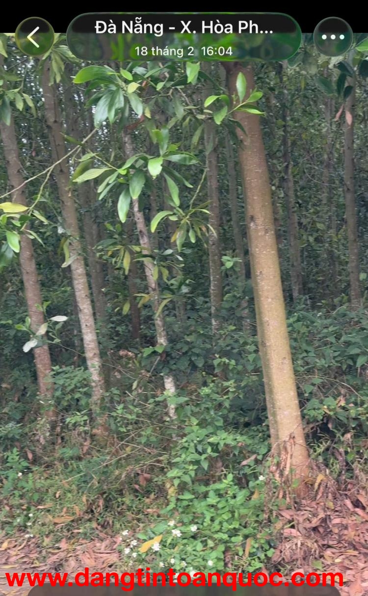 ĐẤT ĐẸP – GIÁ TỐT  – CHÍNH CHỦ CẦN BÁN GẤP tại  Xã Hòa Phong, Huyện Hòa Vang, Đà Nẵng