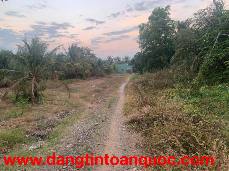 ĐẤT VƯỜN – GIÁ TỐT  – CHÍNH CHỦ CẦN BÁN Tại Cầu Vĩnh Lạc, Xã Vĩnh Gia, Huyện Tri Tôn, An Giang