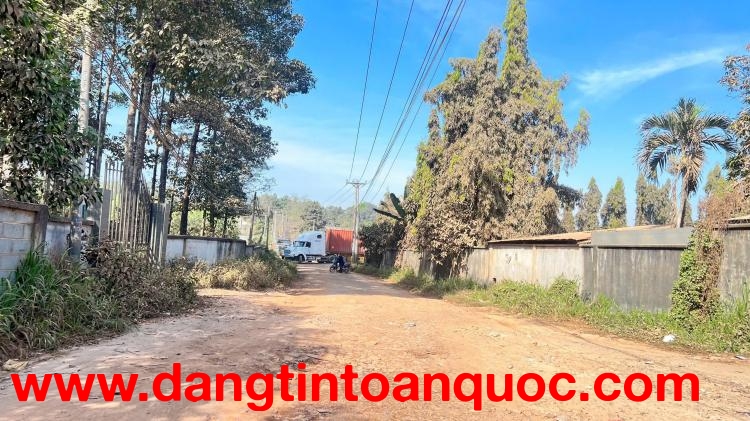 XN101 Cho thuê MB kinh doanh - nhà xưởng sản xuất 1500m2, khung thép tiền chế